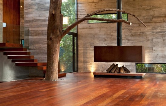 tree-corallo-house6