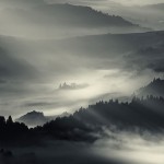 Fog Landscapes2