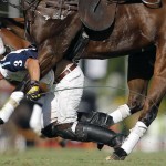 19 Polo Fall by Emiliano Lasalvia