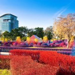 Colourful Campus of Thailand 1