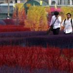 Colourful Campus of Thailand 6