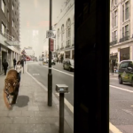 Pepsi Unbelievable Bus Shelter by AMV 3