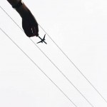 Toy Planes by Varun Thota 10