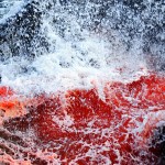 Dramatic Ocean Waves Crash  11