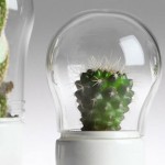 Funny Creative Terrariums-2