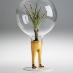 Funny Creative Terrariums-3