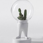 Funny Creative Terrariums-6