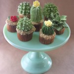 House Plant Cactus Cupcakes-3