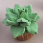 House Plant Cactus Cupcakes-6