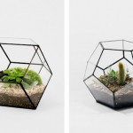 glassterrariums-2