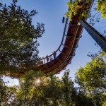 tree-canopy-walkway-path-kirstenbosch-national-botanical-garden-14