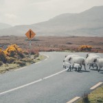 roadtripireland12