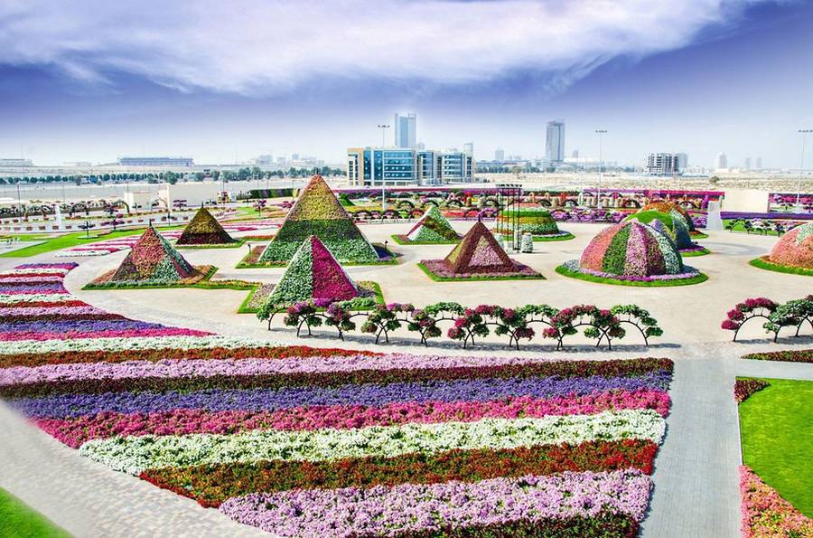 حديقة دبي المعجزة