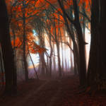 enchantingautumnforest1