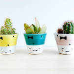 Cute Ceramic Pots and Cups-12