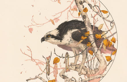 Poetic and Delicate Flora and Fauna Illustrations