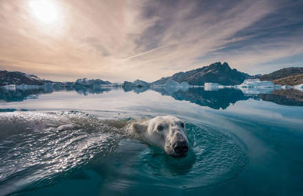 Beautiful Photographs That Raise Awareness of Environmental Protection