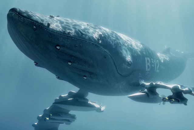 Sea Shepherd Campaign – Fubiz Media