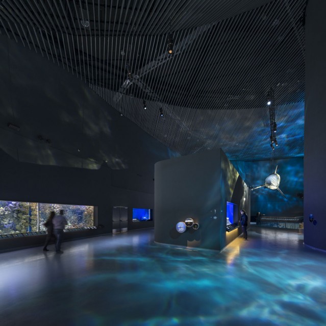 Blue Planet Aquarium – Fubiz Media