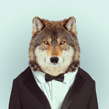 Fashion Zoo Animals – Fubiz Media