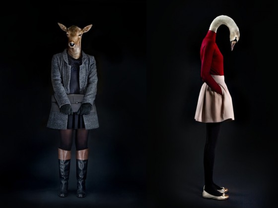 Fashion Dress Animals – Fubiz Media