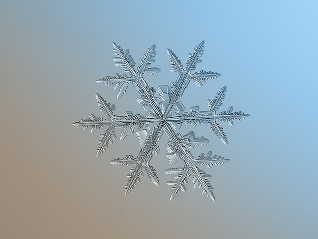 Macro Snowflake-10