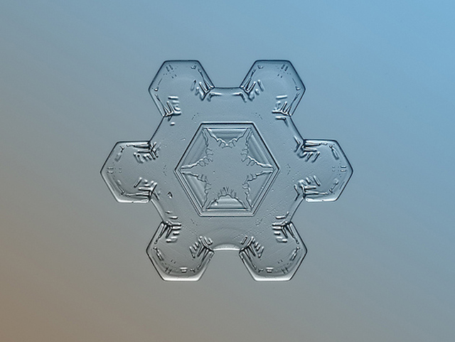Macro Snowflake-11