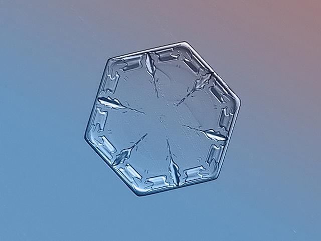 Macro Snowflake-13