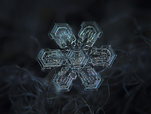 Macro Snowflake-16