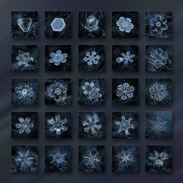 Macro Snowflake-18
