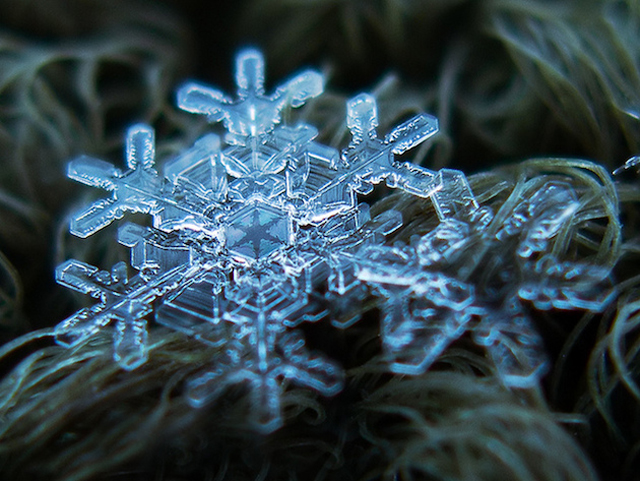 Macro Snowflake-2