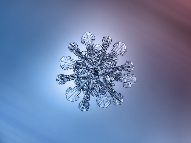 Macro Snowflake-3