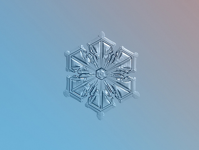Macro Snowflake-5