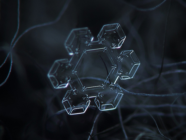 Macro Snowflake-7