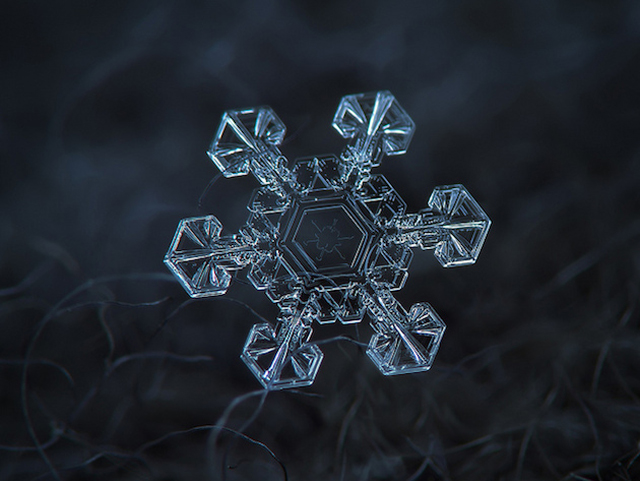 Macro Snowflake-9