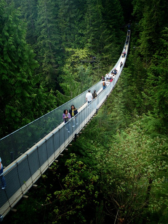 Capilano Suspension Bridge in North Vancouver – Fubiz Media