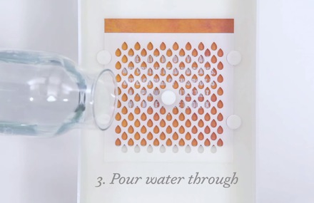 Water Life Drinkable Book