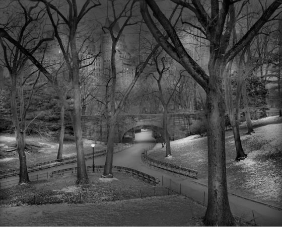 Black And White Landscapes of Central Park – Fubiz Media