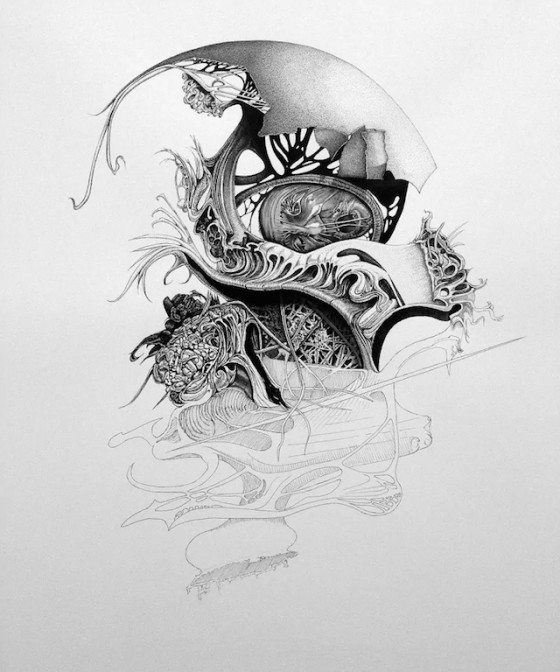 Pen and Ink Drawings by Philip Frank – Fubiz Media