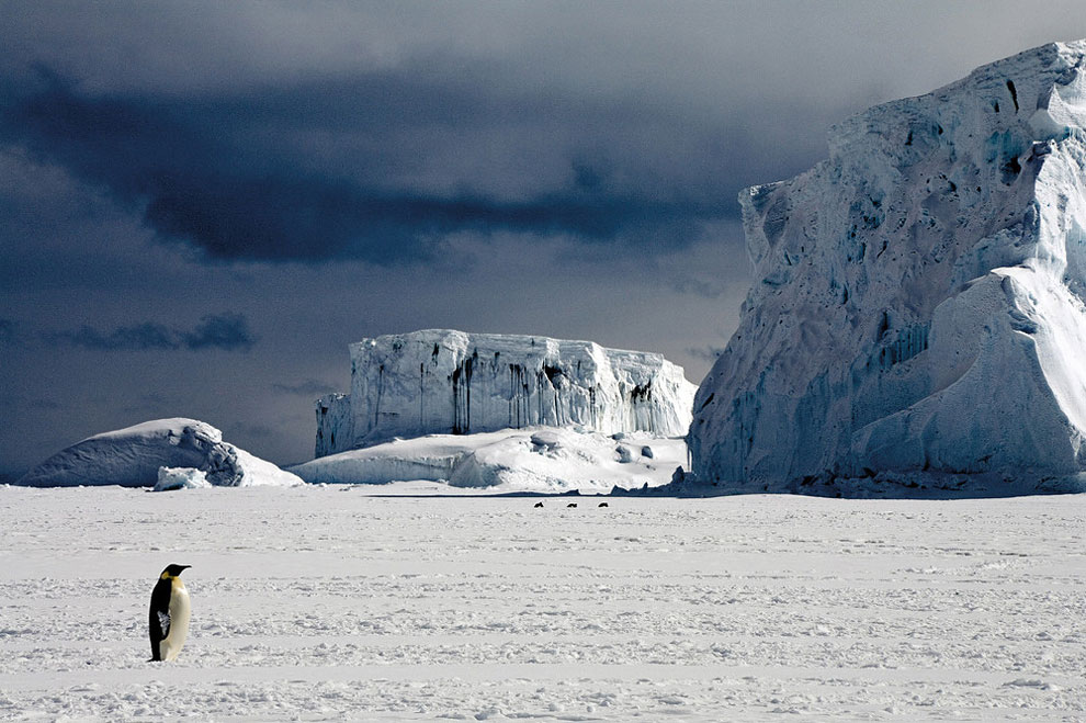 Melting Ice Photography_3 – Fubiz Media