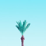 Candy-Colored Minimalism Photography – Fubiz Media