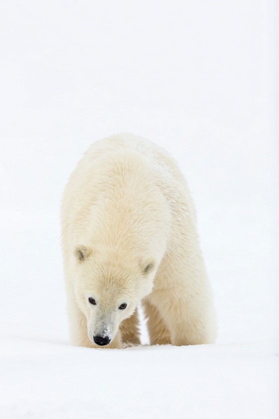 Incredible Nature And Travel Photography Fubiz Media