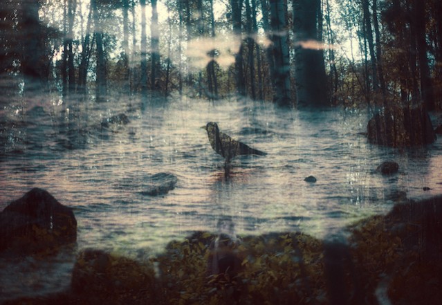 Magical Double Exposure in The Forest – Fubiz Media