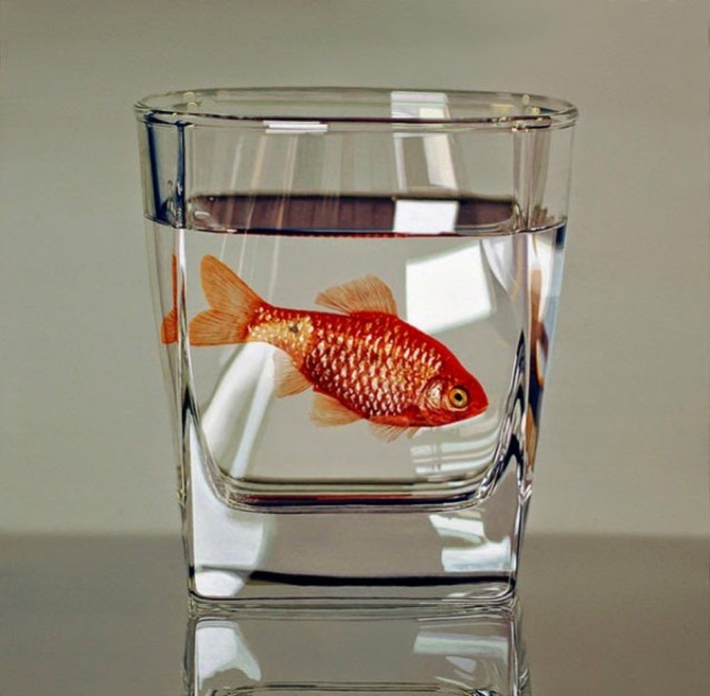 Hyperrealistic Animal Paintings Fubiz Media   Hyperrealistic Animal Paintings 2 639x627 