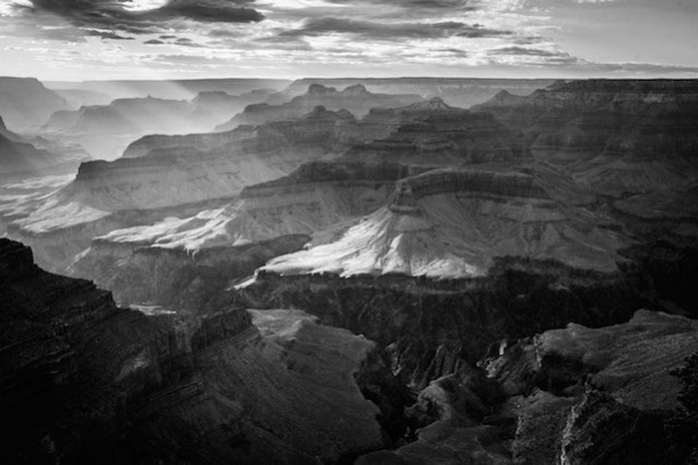 Black and White Wild America – Fubiz Media