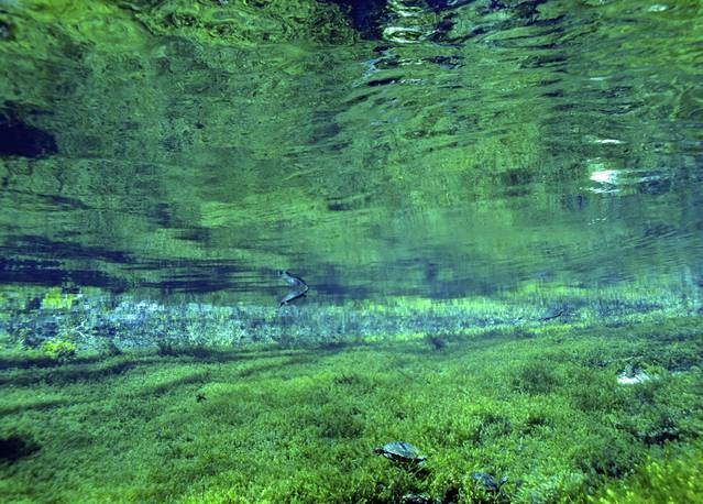 Symmetrical Underwater Photography – Fubiz Media