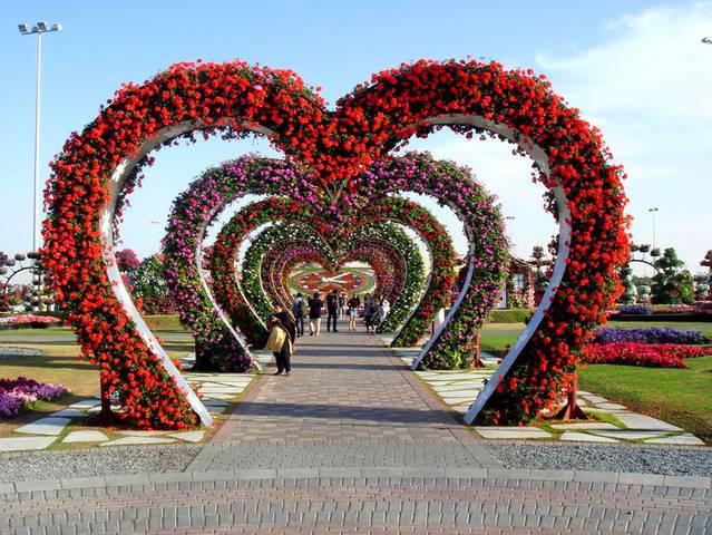 The Dubai Miracle Garden – Fubiz Media