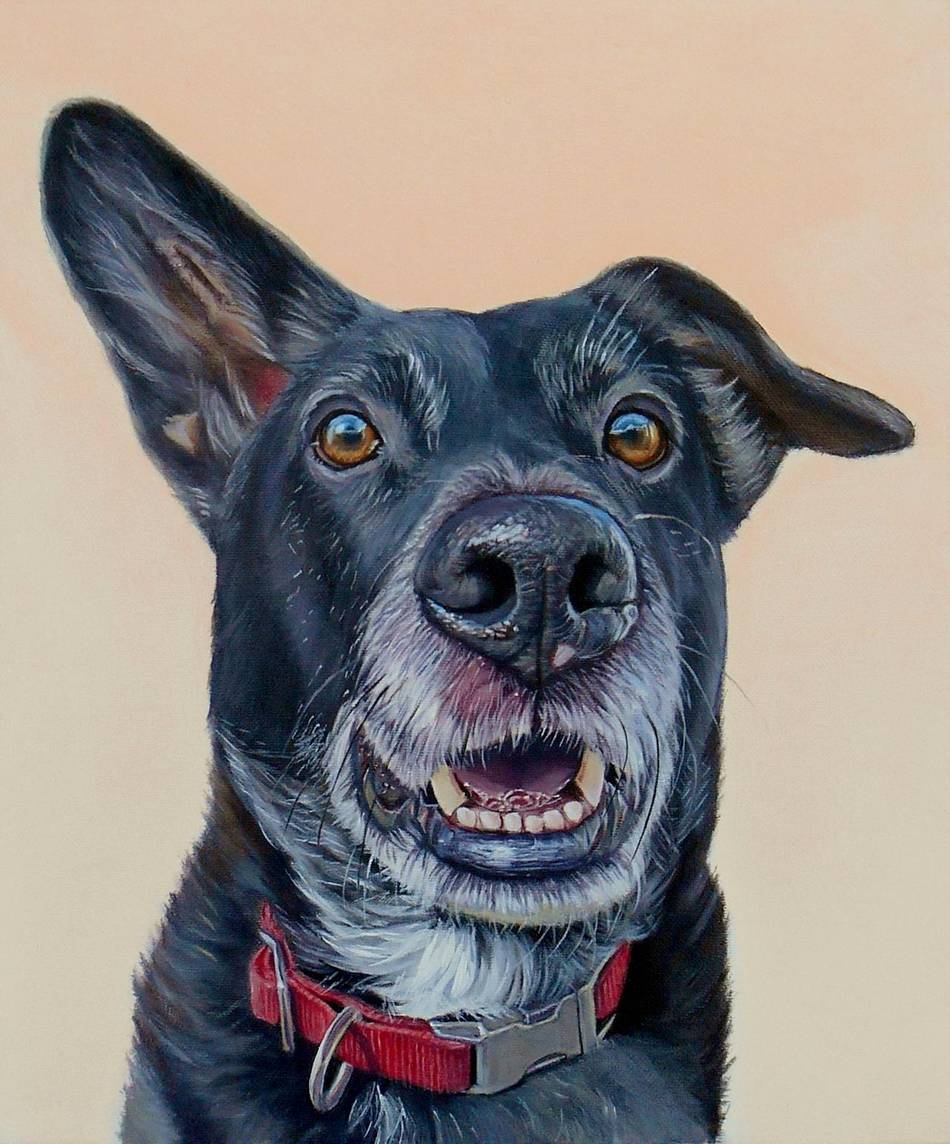 Realistic Funny Dog Portraits – Fubiz Media