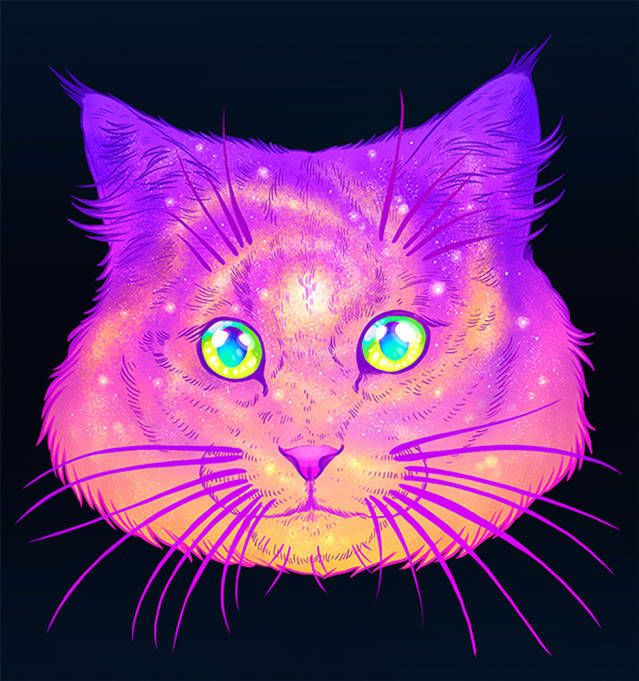 Galactic Cats Series – Fubiz Media