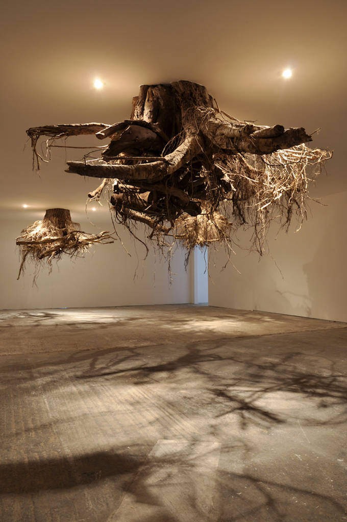 Real Tree Roots Chandeliers Installation – Fubiz Media